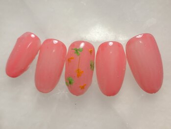 定額5300円コース