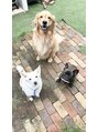 ロイ(ROI)&nbsp;うちの3匹の愛犬です