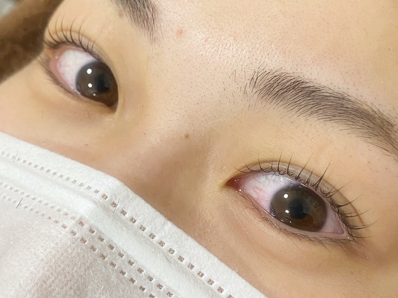 新規限定【次世代まつ毛パーマ　ドールリフトカール】  \3520