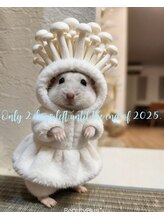 サミ 岸和田(SaMi)/2025年、残り2日...