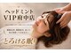 ヘッドミント ビップ 府中店(VIP)の写真