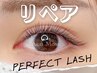 2回目以降★Perfect Lash 【30分間付け足しコース】※1ヶ月以内の来店