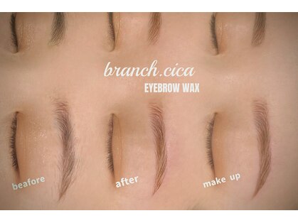 ブランチ シカ(branch.cica)の写真