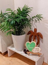 ココロミ(Coco Lomi)/玄関先♪