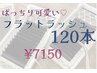 【オープン記念★】最軽量&持続力UP◇フラットラッシュ 120本 ¥8250→¥7150