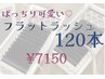 【ぱっちり美人eye】最軽量&持続力UP◇フラットラッシュ 120本 ¥8250→¥7150