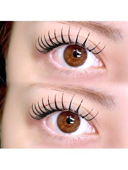 ケイトステージラッシュ 香椎店/