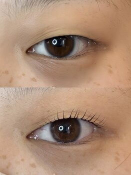 ダーム ド ローズ(Dame de rose)/【まぶたが上がるまつ毛パーマ】