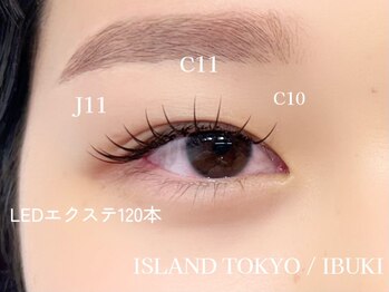 アイランド トーキョー(ISLAND TOKYO)/LEDマツエク120本