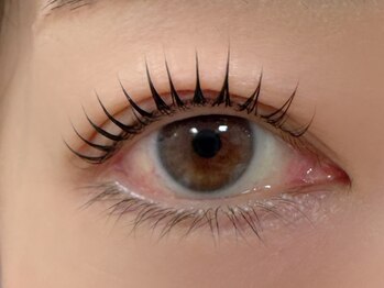 ミアン 津田沼店(Mian)/