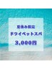 “何もしたくない”夏のあなたに　頭から癒すドライヘットスパ