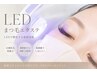【A I 限定】LEDエクステ☆最高級セーブル80本☆