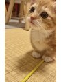 ネイルアイサロンアンドスクール リッカ(Lycka)&nbsp;ワンちゃん2匹と子猫を飼っています♪かなりの動物好きです♪