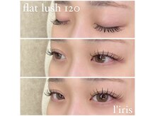リリス(l’iris)/フラットラッシュ120本