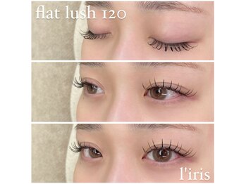 リリス(l’iris)/フラットラッシュ120本