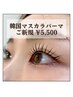【7月限定】韓国マスカラパーマ（ブラックティント+まつ毛パーマ） ¥5,500