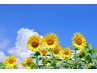 夏映え小顔【クイック小顔矯正】+ヘッド+バイオプトロン☆1ヶ月フリーパス