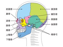 ブプラ 沖縄那覇店(BUPURA)/頭蓋骨の歪みチェック！