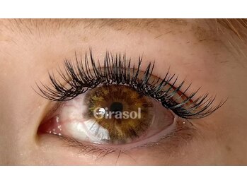 ヒラソル(Girasol)