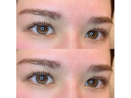 ニノアイラッシュ(nino eyelash)の写真