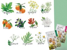ヨサパーク ニキ 北広島店(YOSA PARK niki)の雰囲気（脂肪燃焼！！医薬部外品の認可取得の天然ハーブ使用！！）