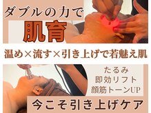 Wリフトフェイシャル/たるみ・ほうれい線アタック80分初回\8,900