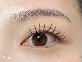 ナイア 天神(Naia)/カラーフラットラッシュ120本