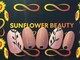 サンフラワービューティー(SUNFLOWER BEAUTY)の写真/ワンカラー/ラメグラ¥3300~シンプルで上品な仕上がり★派手ネイルが出来ない方でも◎豊富なカラ-より選択可