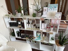 エソール(essor)/夏のおすすめ商品