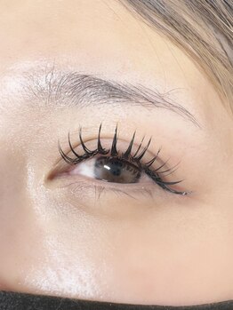 ダリア 大宮店(DAHLIA)/バインドロック140束