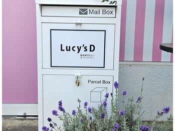 脱毛専門サロン ルーシーズディー(Lucy's D)