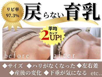 ラポッシュ(La poche)