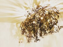 ビューティーサロンバース(Beauty Salon Birth)