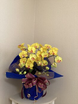 すずかぜ/ぜひ、当店へお越しください♪