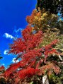 シャングリ ラ(Shangri La)&nbsp;すごく綺麗な紅葉！癒されました！
