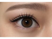 クレヴィア(Crevia)/バインドロック120束