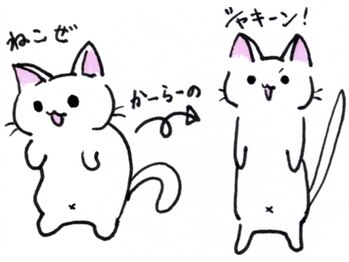 カイロ アンド エステカイロ 悠/ニャンコも猫背解消するかむも？