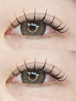 ハウオリ(Hau'oli)/ダブルフラット100束