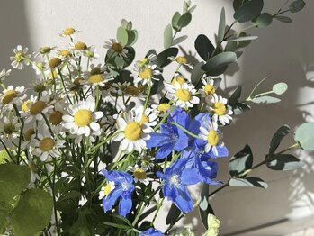 ベリルスパトリートメント(BERYL SPA TREATMENT)/色とりどりのお花/ヘッドスパ