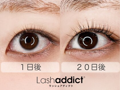 アイモイ(eye moy)の写真