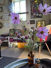 シャンティシャンティ(Shanti Shanti)/季節ごとに咲いた花を置いてます