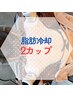 2カップ/話題の脂肪冷却-3度45分×EMSかっさで引き締め流し☆最新W徹底痩身 