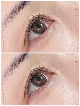 エクラ(ECLAT)/立ち上げ丸みデザイン