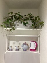 ブレッシングス(BLESSINGS)/玄関近くのグリーンが増えました