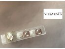 夏季限定定額デザイン
