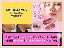 フェリス(feliz)の雰囲気（韓国エステがここで叶う!/レモンボトル/ローマピンク/ララピール）