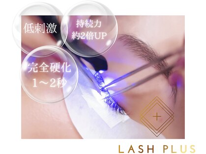 デザインドット(Design.)の写真