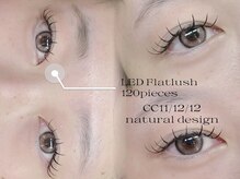 ソファー 八王子(sofa)/LEDフラットラッシュ120本