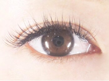 ネイルアンドまつげエクステ テラ 新宿店(Terra)/ジェル付け放題