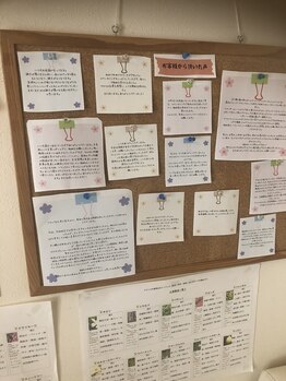 スクール併設アロマテラピーサロン ラシエスタ/お客様からのメッセージ